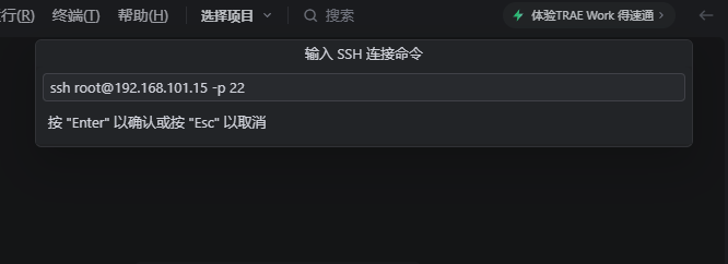 输入 SSH 连接命令